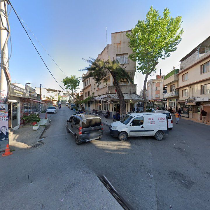 Fotoğraf 13