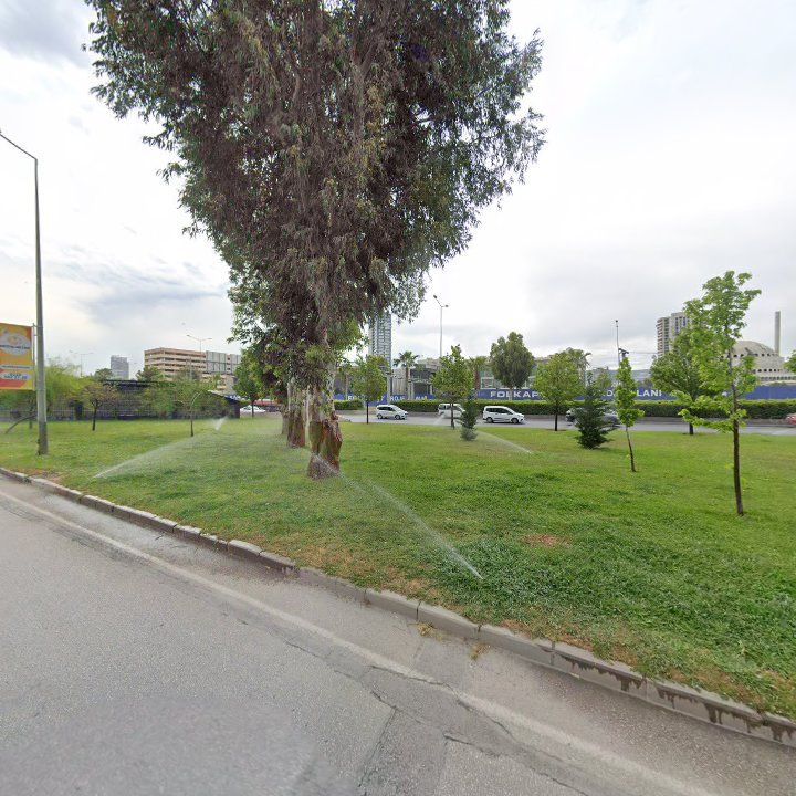 Fotoğraf 8