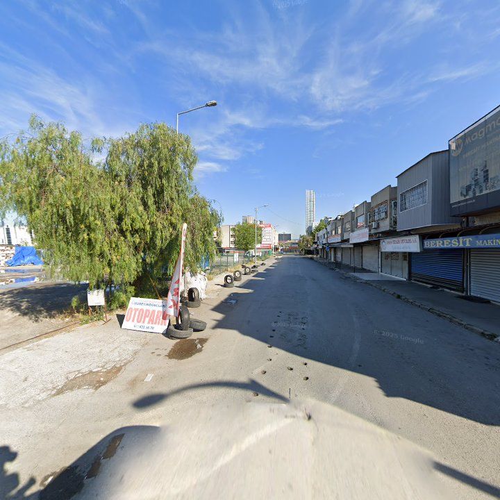 Fotoğraf 7