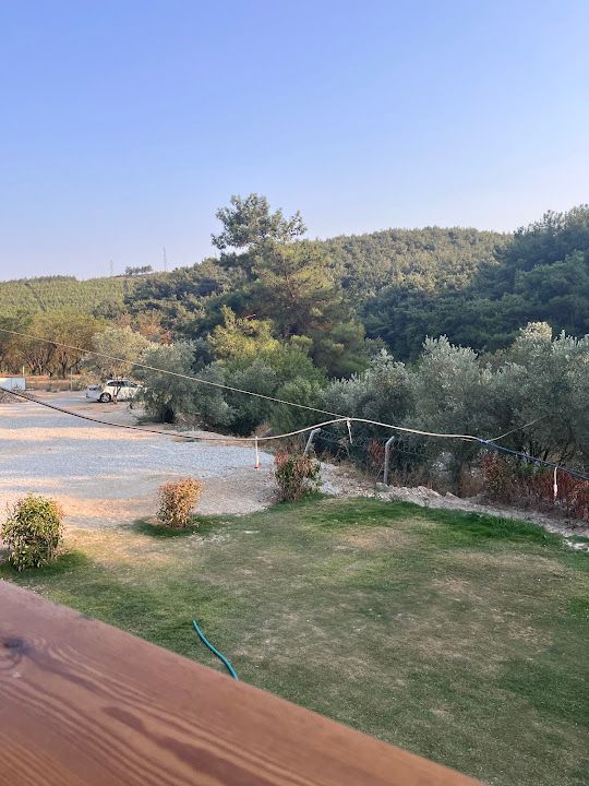 Fotoğraf 24