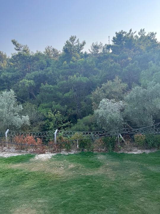 Fotoğraf 23
