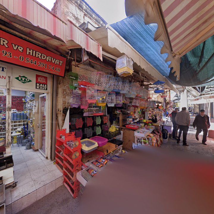 Fotoğraf 10