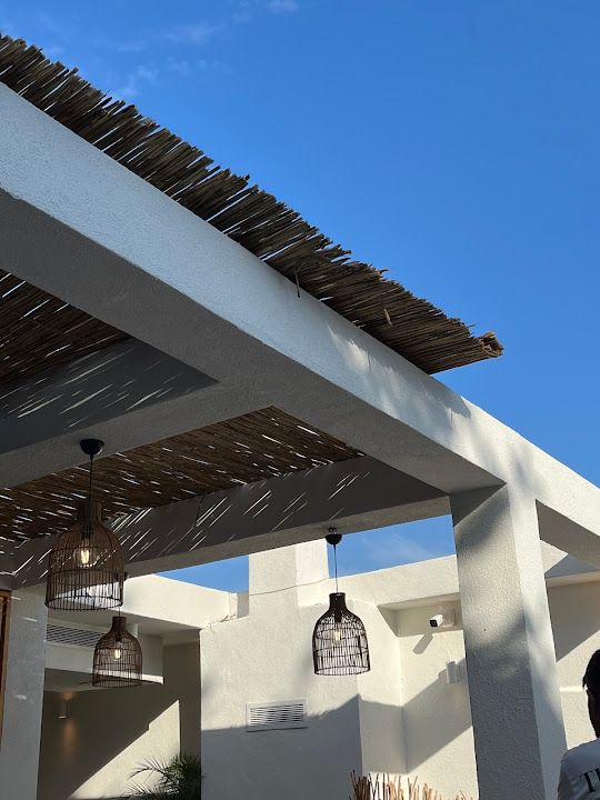 Fotoğraf 62