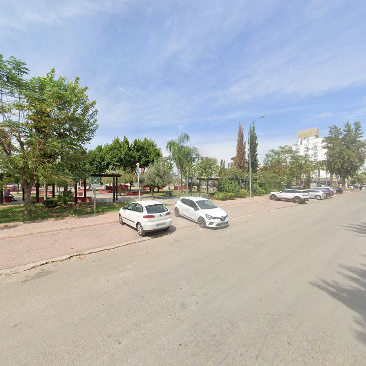 Fotoğraf 8