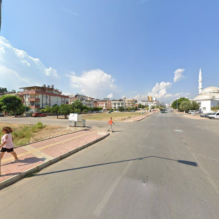 Fotoğraf 15
