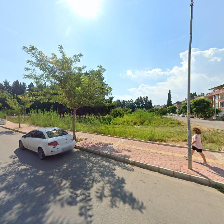 Fotoğraf 14