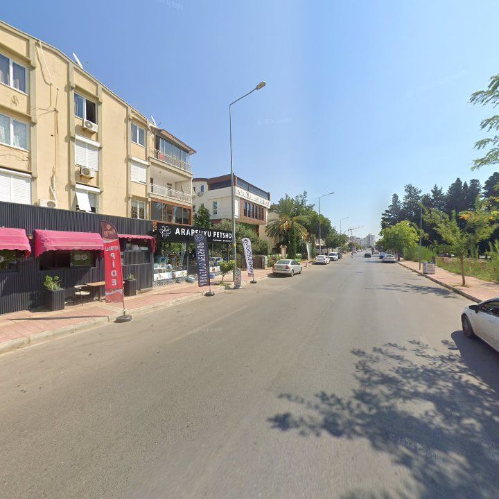 Fotoğraf 13