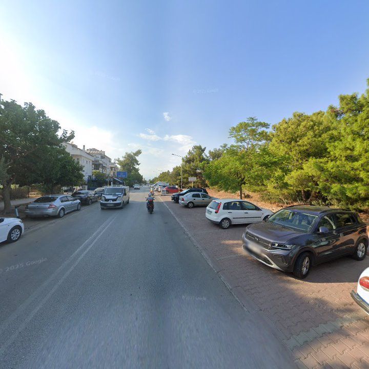 Fotoğraf 15