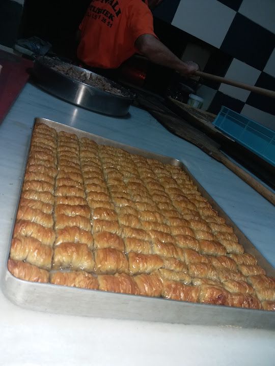 Fotoğraf 8