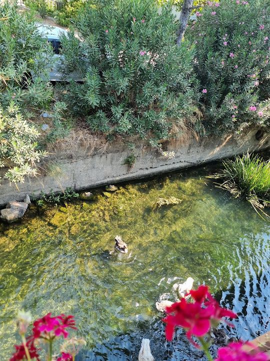Yorum fotoğrafı 4