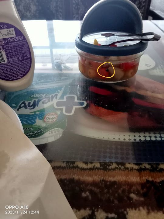 Yorum fotoğrafı 2