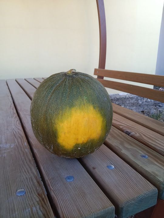 Fotoğraf 18