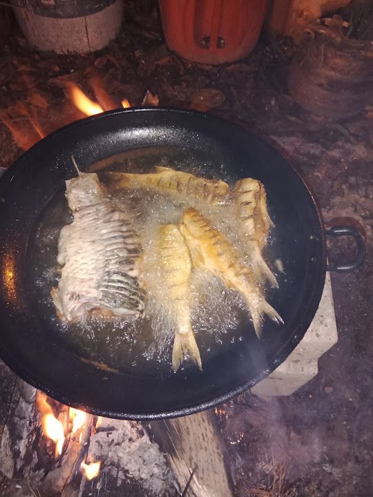 Fotoğraf 20