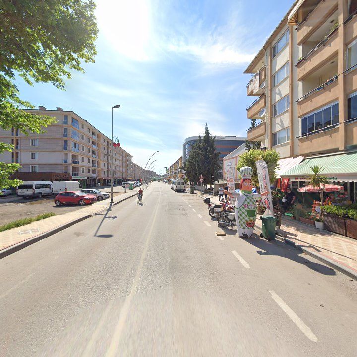 Fotoğraf 9