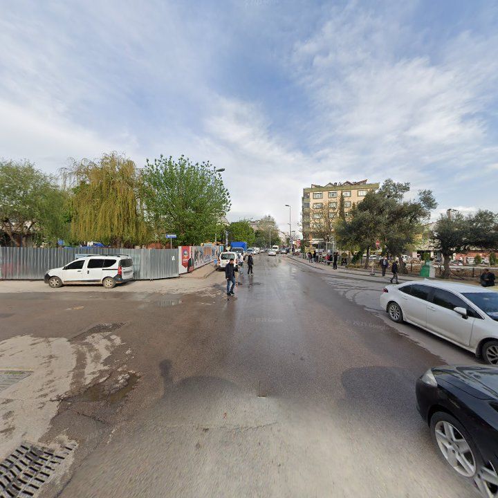 Fotoğraf 9