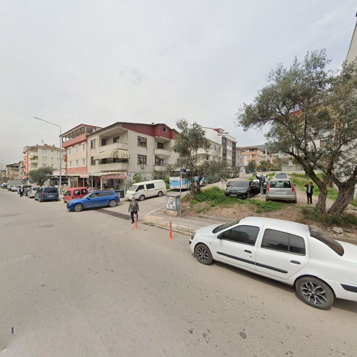 Fotoğraf 10