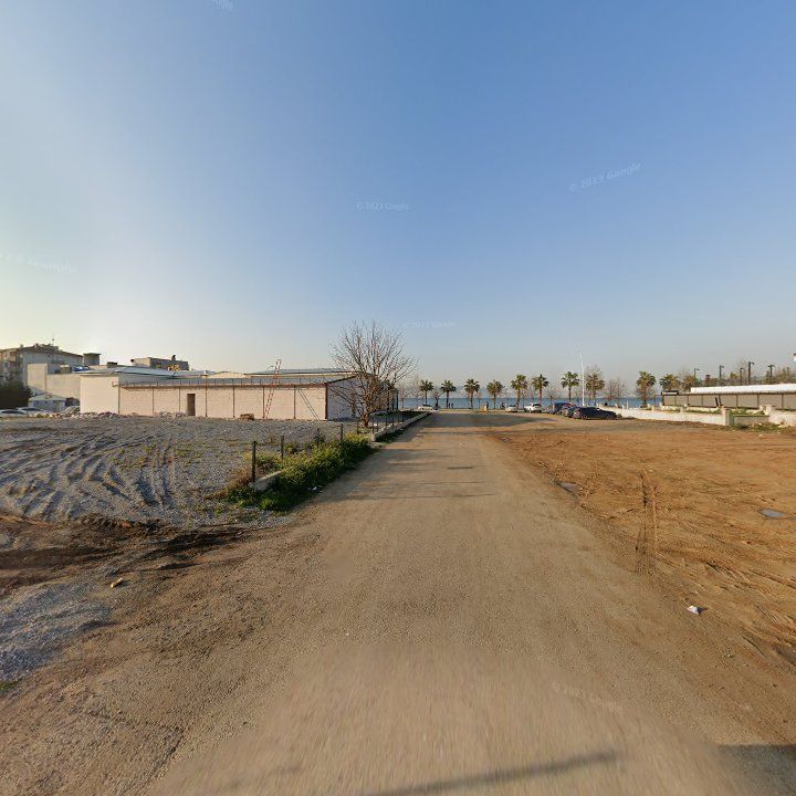 Fotoğraf 11