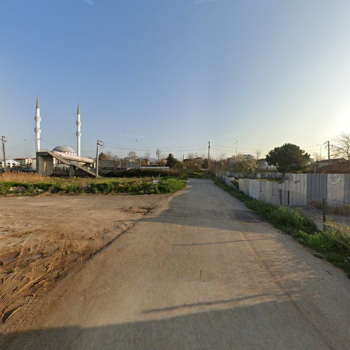 Fotoğraf 9