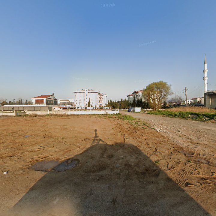 Fotoğraf 8