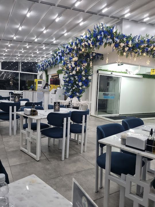Beyaz Marin Balıkçısı