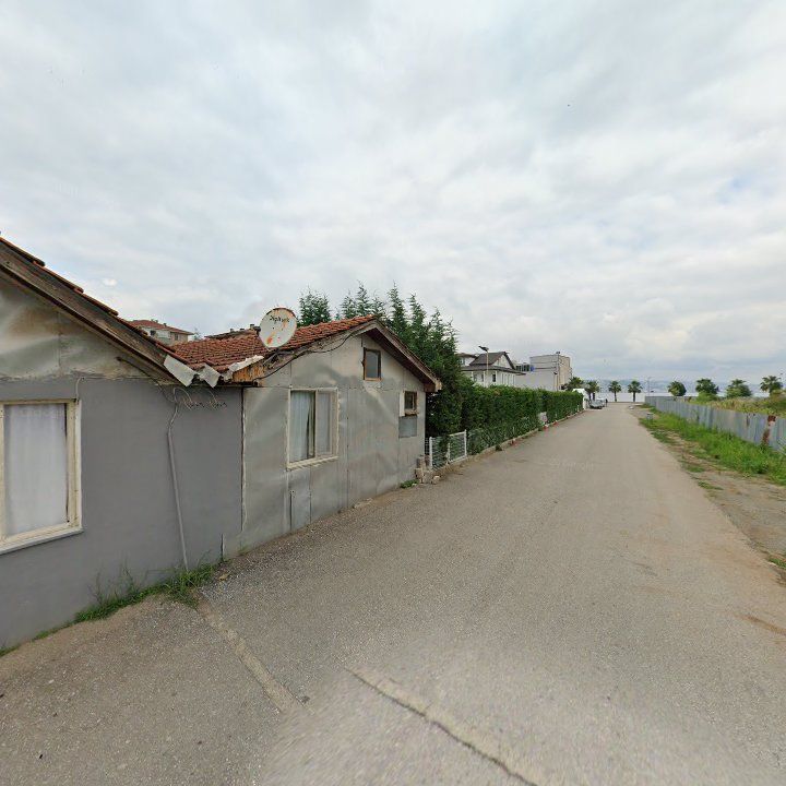 Fotoğraf 10