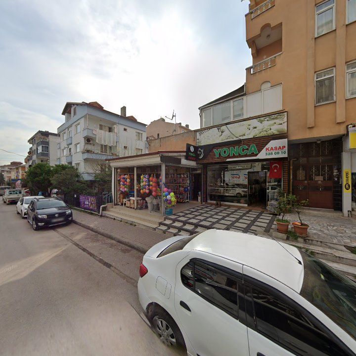 Fotoğraf 7