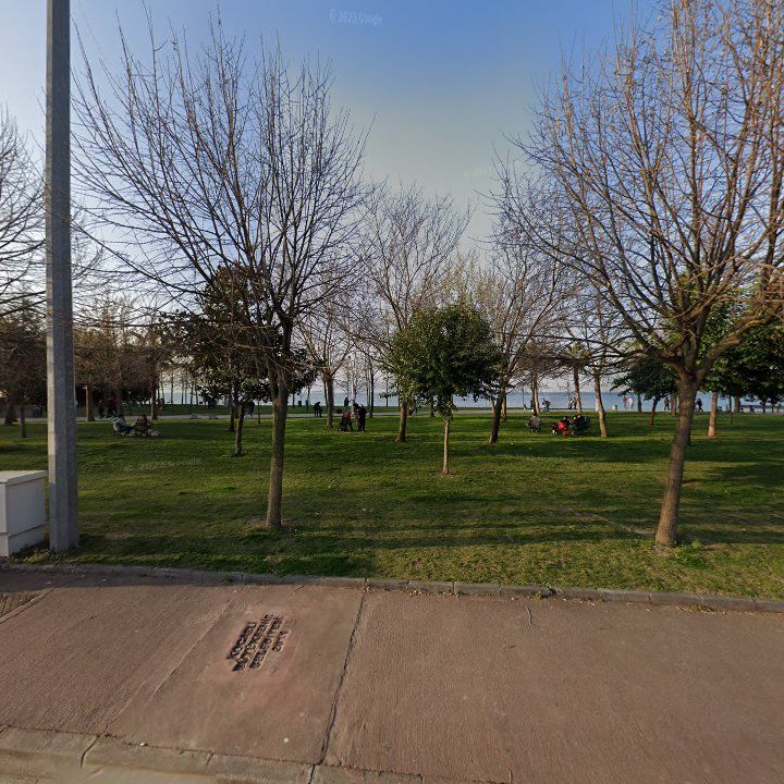 Fotoğraf 10