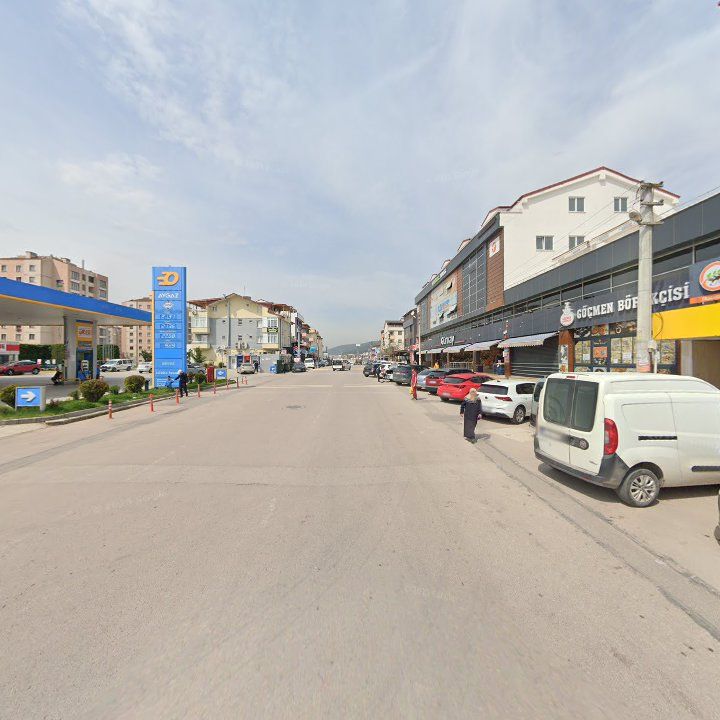 Fotoğraf 10