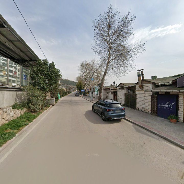 Fotoğraf 11