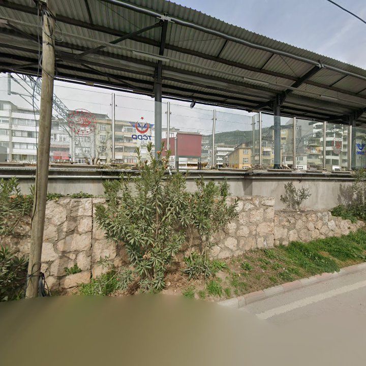 Fotoğraf 10