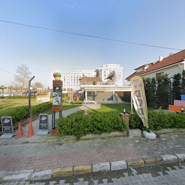 Fotoğraf 9