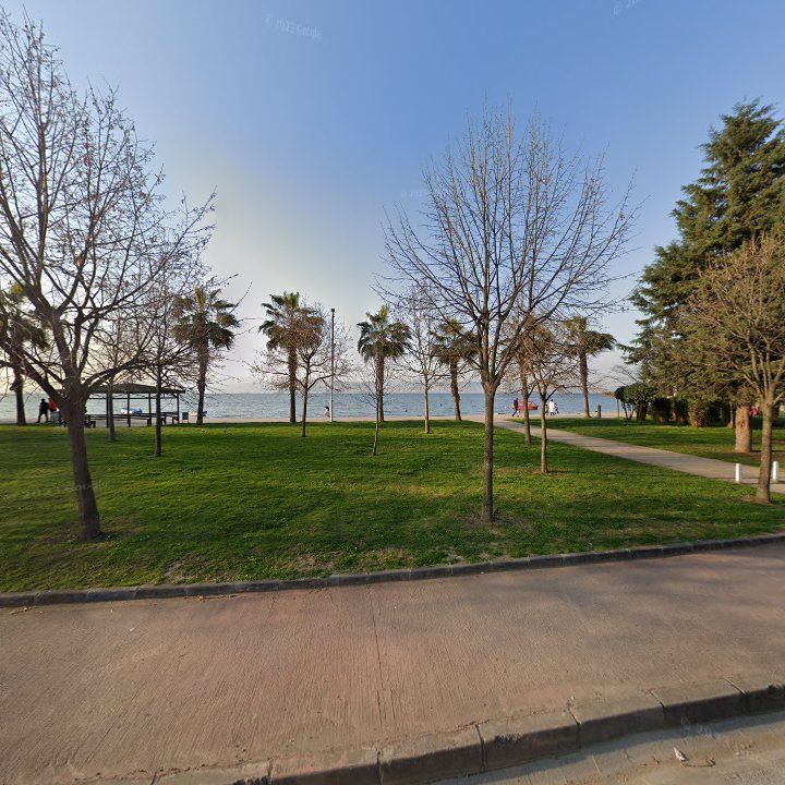 Fotoğraf 11