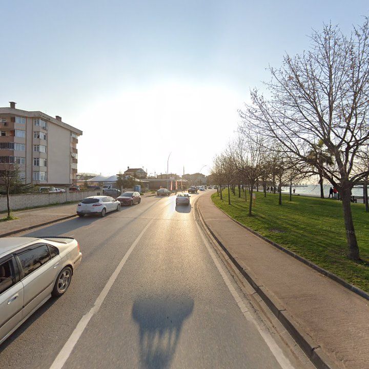 Fotoğraf 10