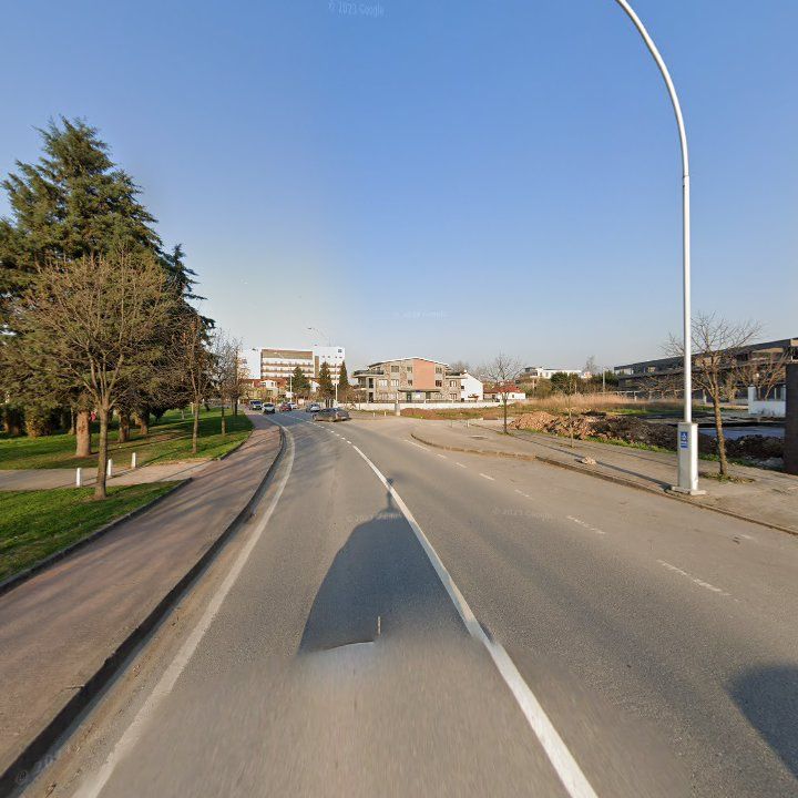 Fotoğraf 12
