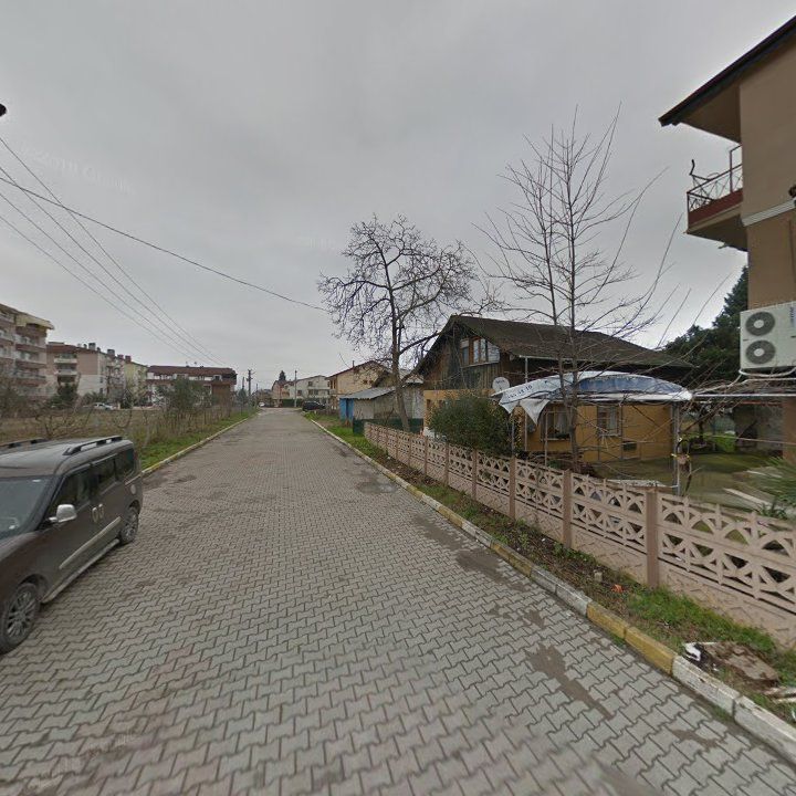 Fotoğraf 10