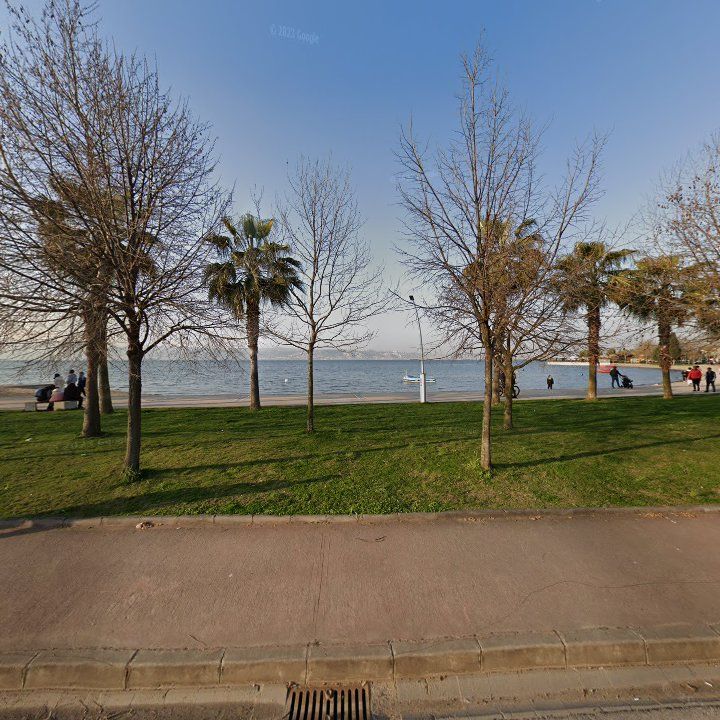 Fotoğraf 11