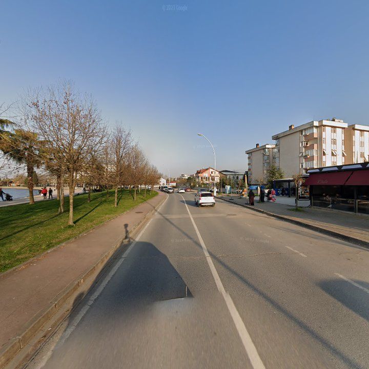 Fotoğraf 12