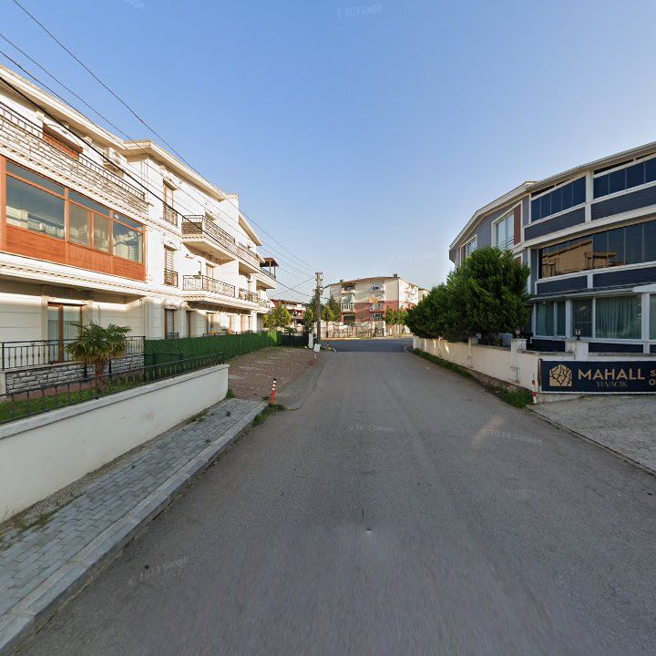 Fotoğraf 9