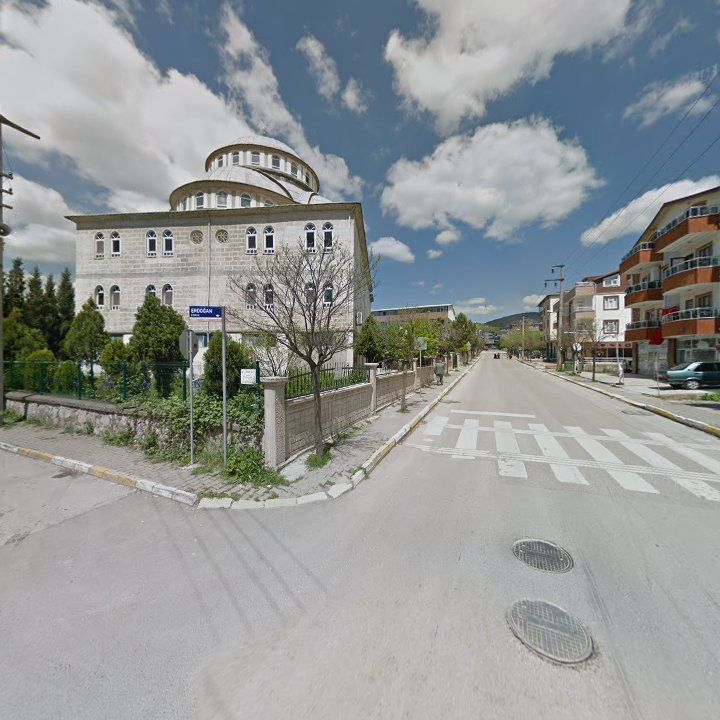 Fotoğraf 11