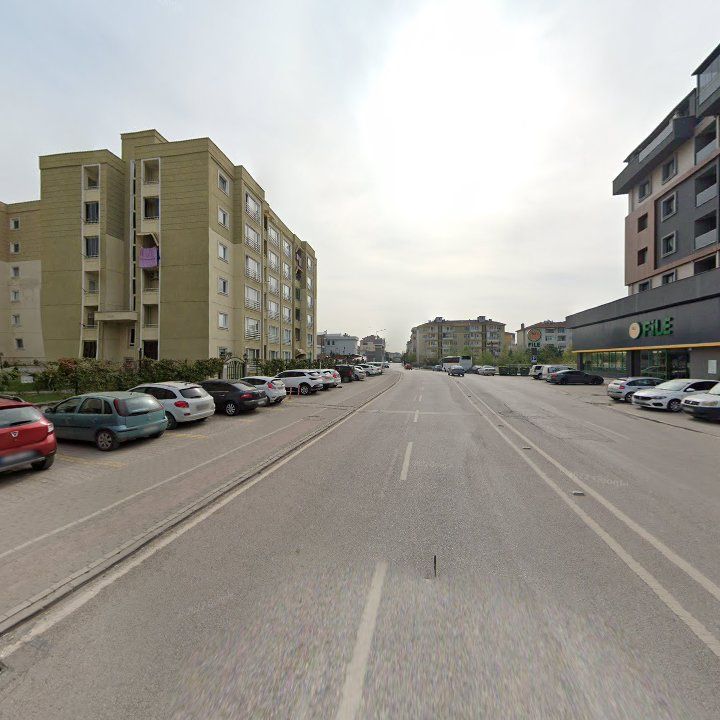Fotoğraf 8