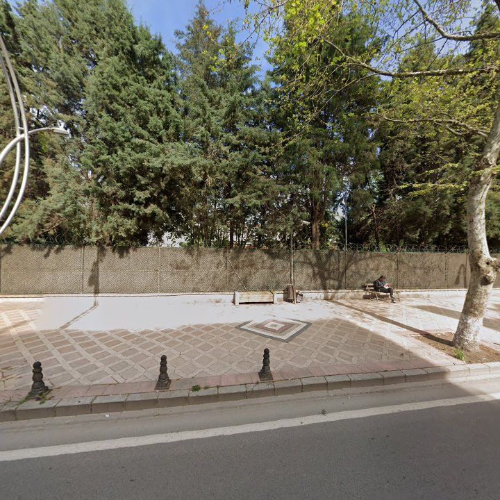 Fotoğraf 8