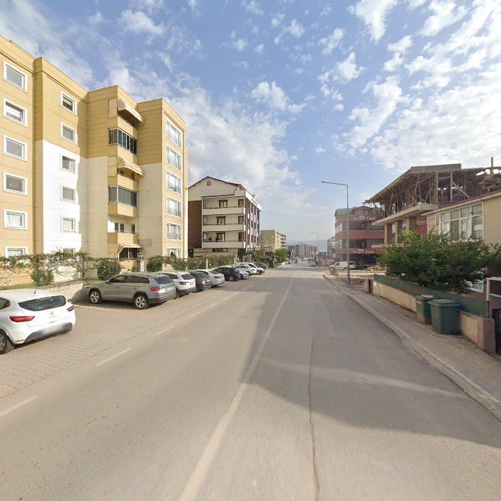 Fotoğraf 11