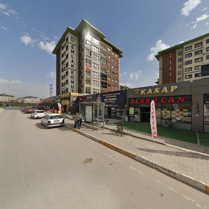 Fotoğraf 10
