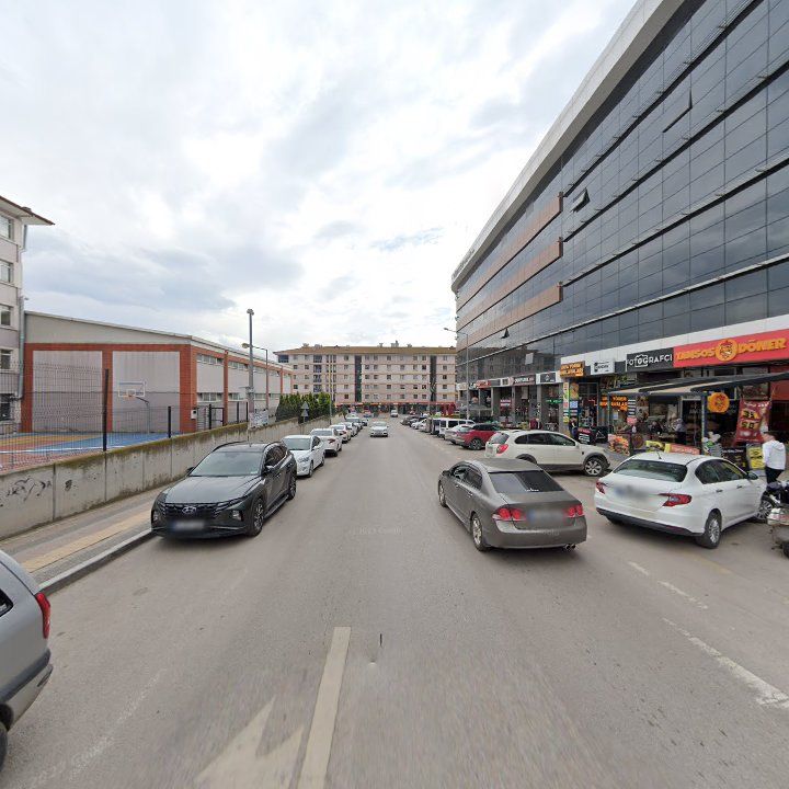 Fotoğraf 9