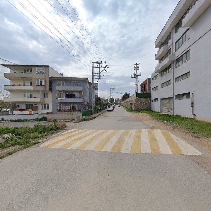Fotoğraf 11