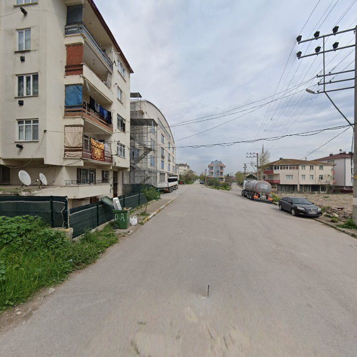 Fotoğraf 9