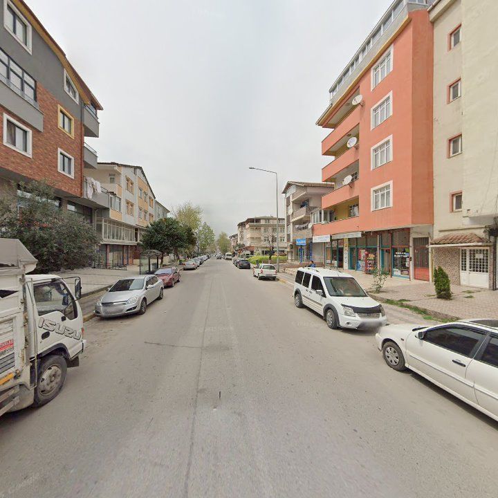Fotoğraf 11