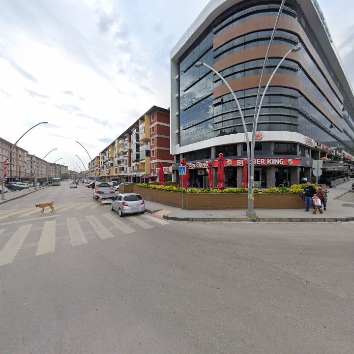 Fotoğraf 6