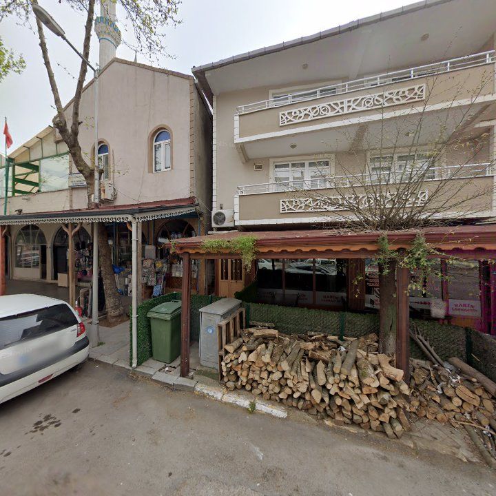 Fotoğraf 7