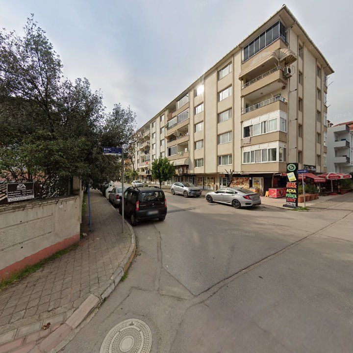Fotoğraf 10
